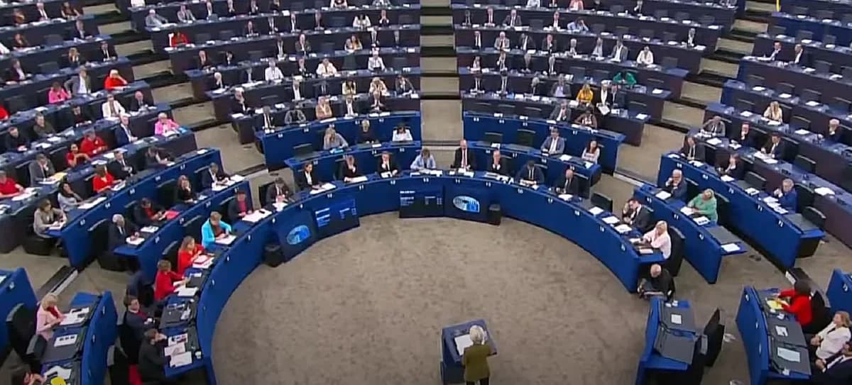 Parlamentul European cere verificarea Acordului Mercosur de către CJUE